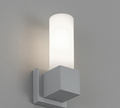 Artemide Dupla Outdoor Wall Lamp