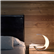 Curl D76 Table Lamp