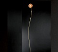 Minitallux Soffione Floor Lamp