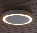 Amigo Ceiling Wall Lamp