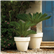 Bordato Liscio Outdoor Planters